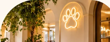 A glowing neon paw sign in the plant-filled entrance